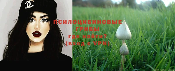 прущие крисы Верхний Тагил