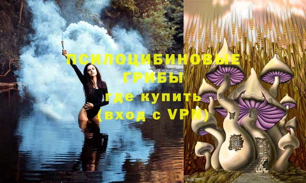 COCAINE Верея