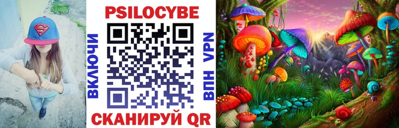 Псилоцибиновые грибы GOLDEN TEACHER  даркнет сайт  Новоржев 