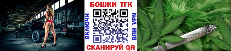 Каннабис планчик  купить наркотики цена  Новоржев 